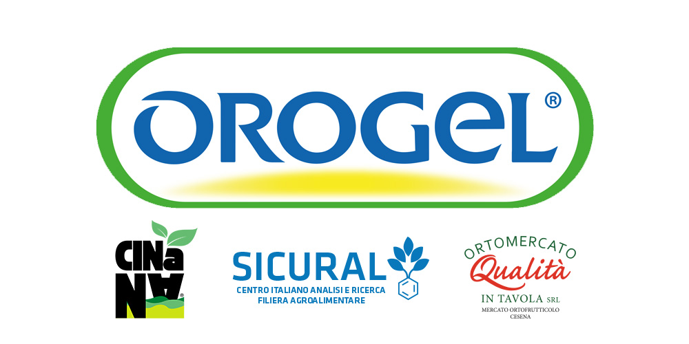 Logo Orogel-gruppo